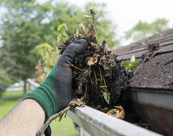 Gutter clean